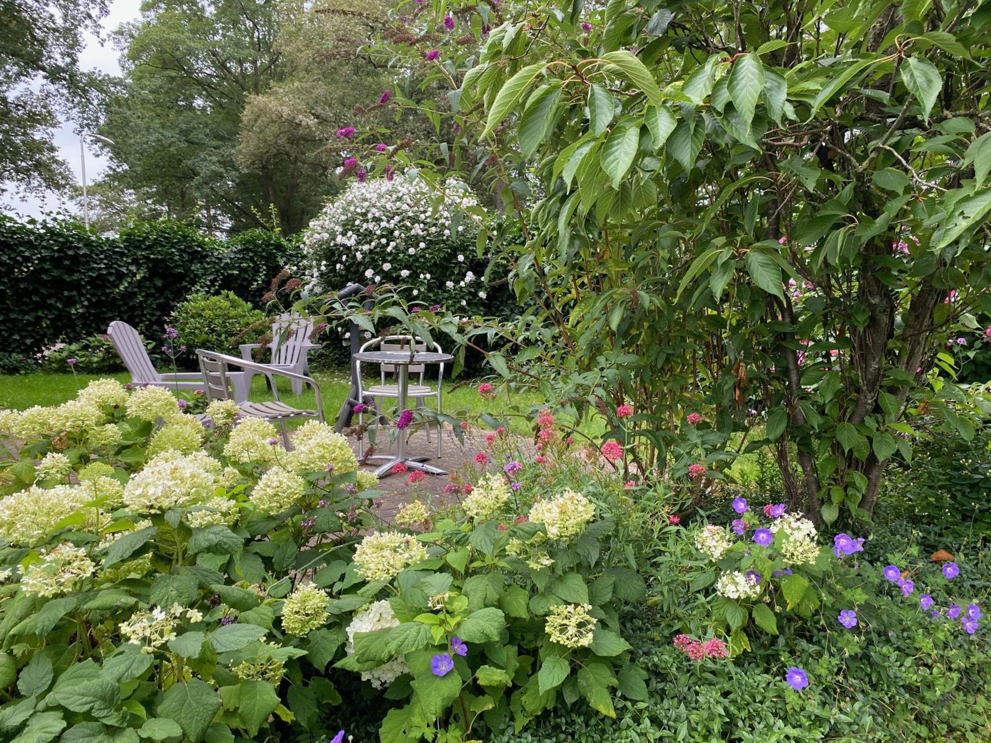 De Viersprong Bed & Breakfast Laren  Exterior foto